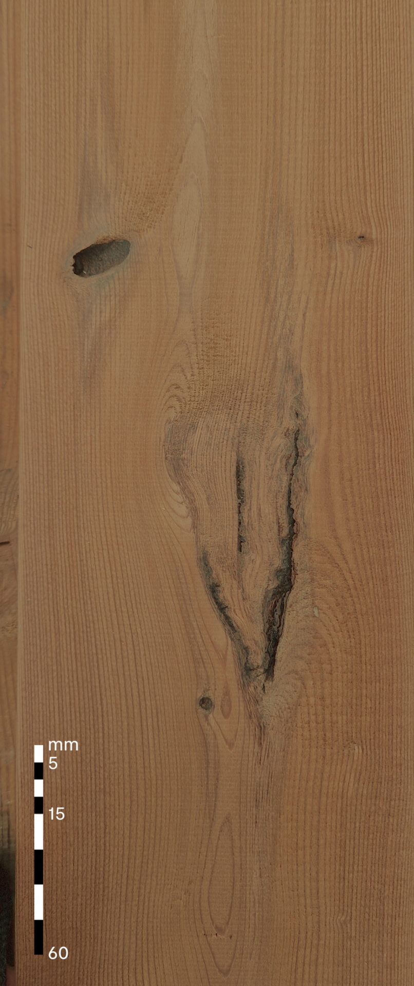 Bark knots