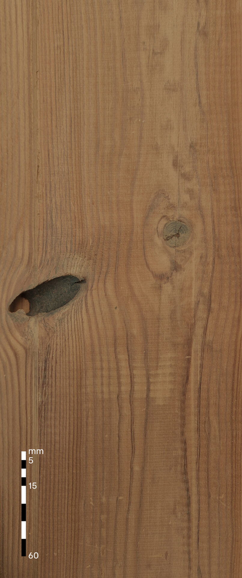 Knotholes