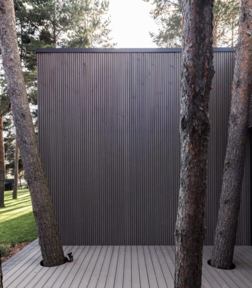 Terasa Mykolas 26×117 mm